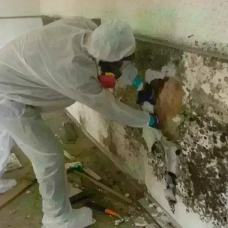 Mold Remediation and Removal in Middleton, MA