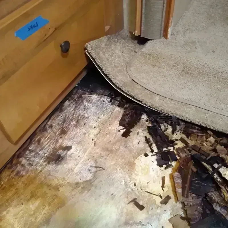 Best Wood Floor Water Damage Service in Middleton, MA